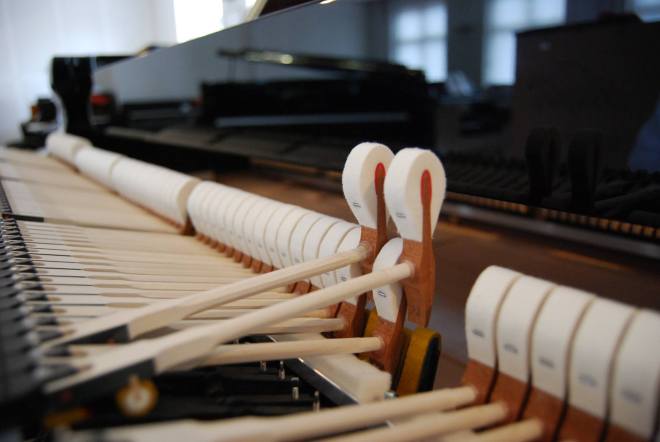 12015076_10153570618258433_5146941902774064225_o