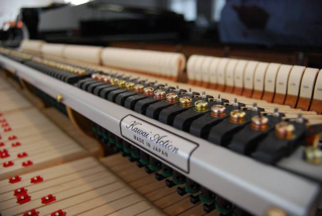 12039080_10153570618013433_1681636665192655855_o