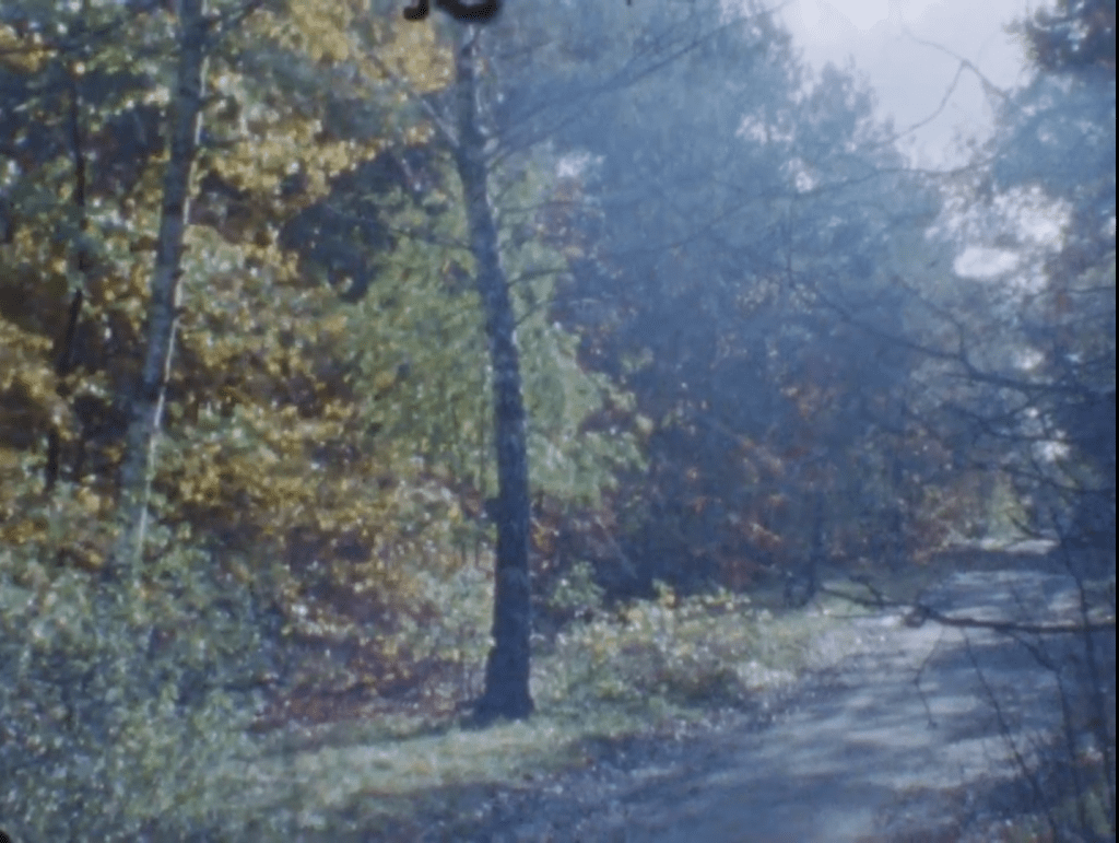 Tangerine Dream – You’re Always On&nbsp;Time