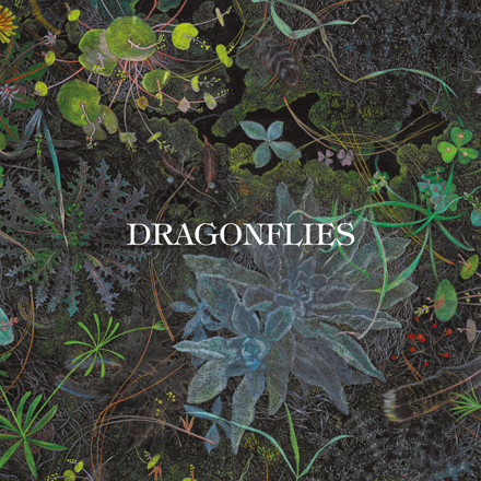 Dragonflies – Slower